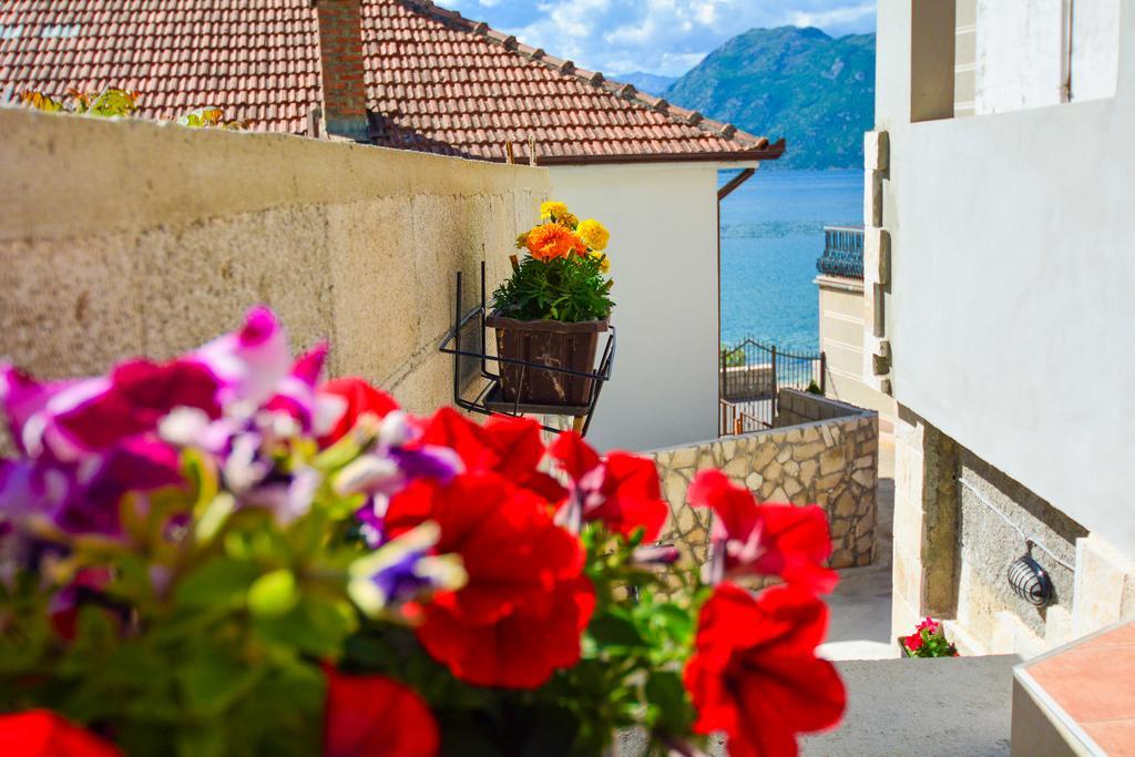 Apartment The Sea Coast Kotor Kültér fotó